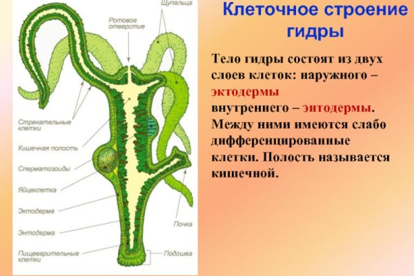 Кракен дарк сайт